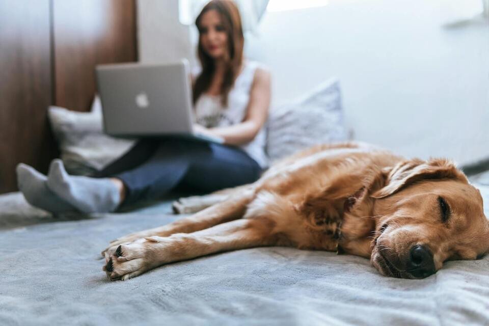 Smart Ways to Find Home-Based Business Opportunities