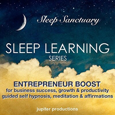 Entrepreneur Boost for Business Success, Growth, Productivity & Motivation