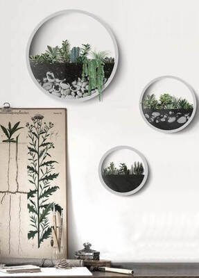 Best Office Plants & Flowers