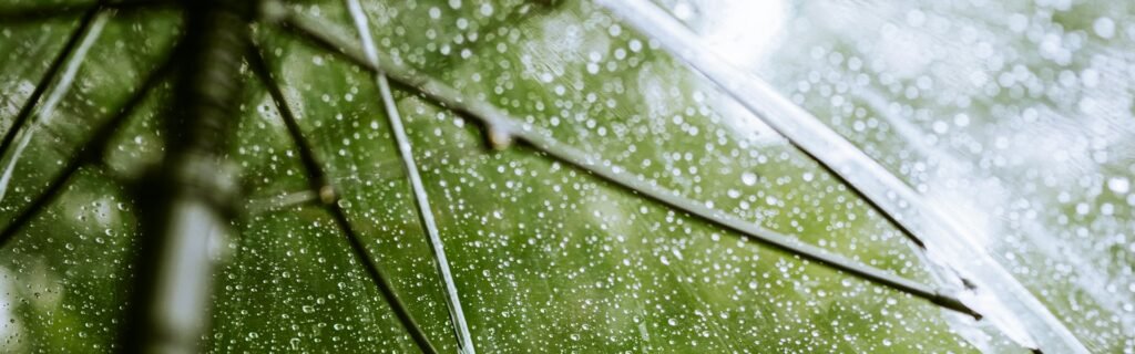 Business Insurance Basics for New Owners: What Coverage You Need