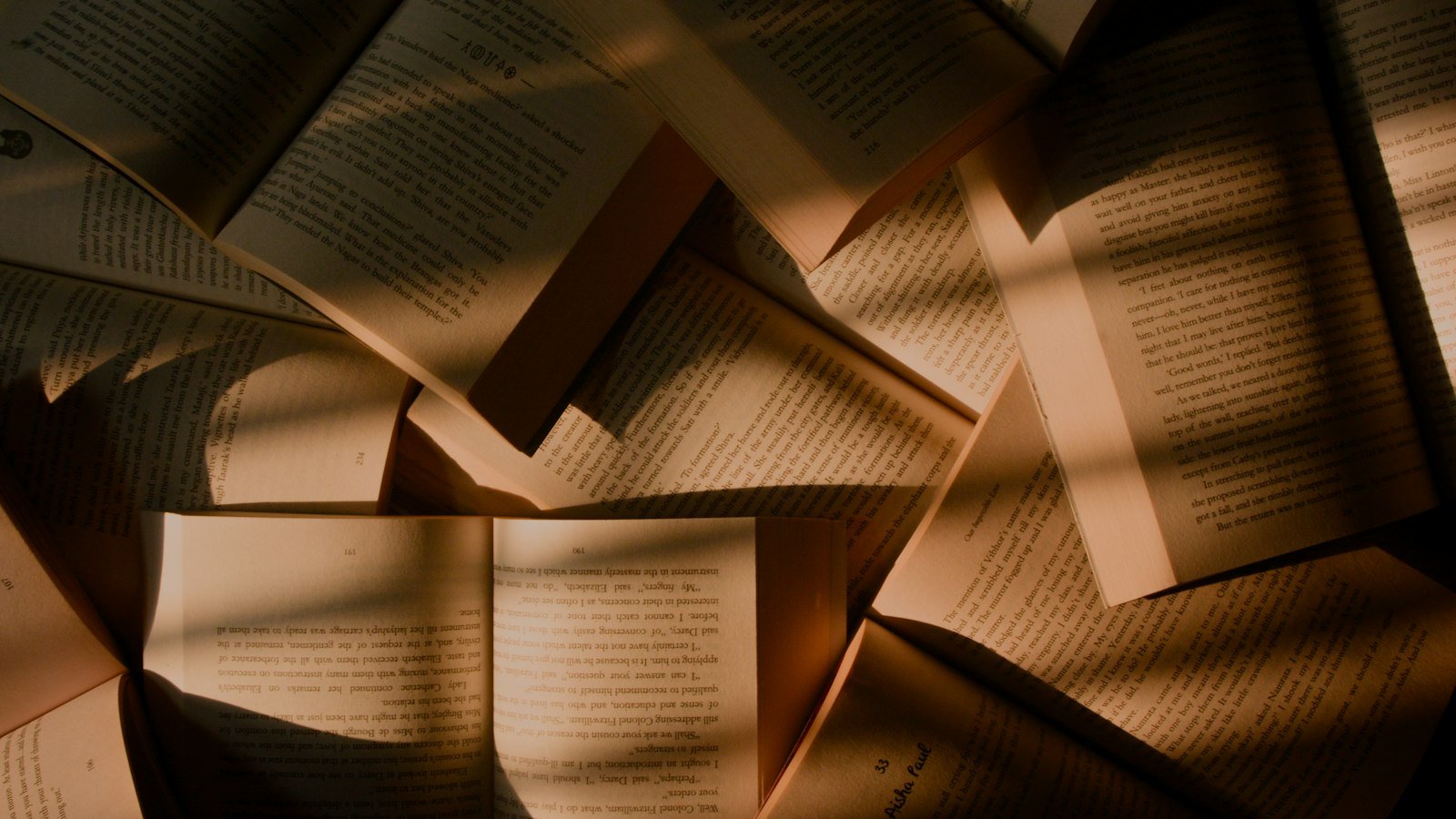 Never split the difference: brown books closeup photography
