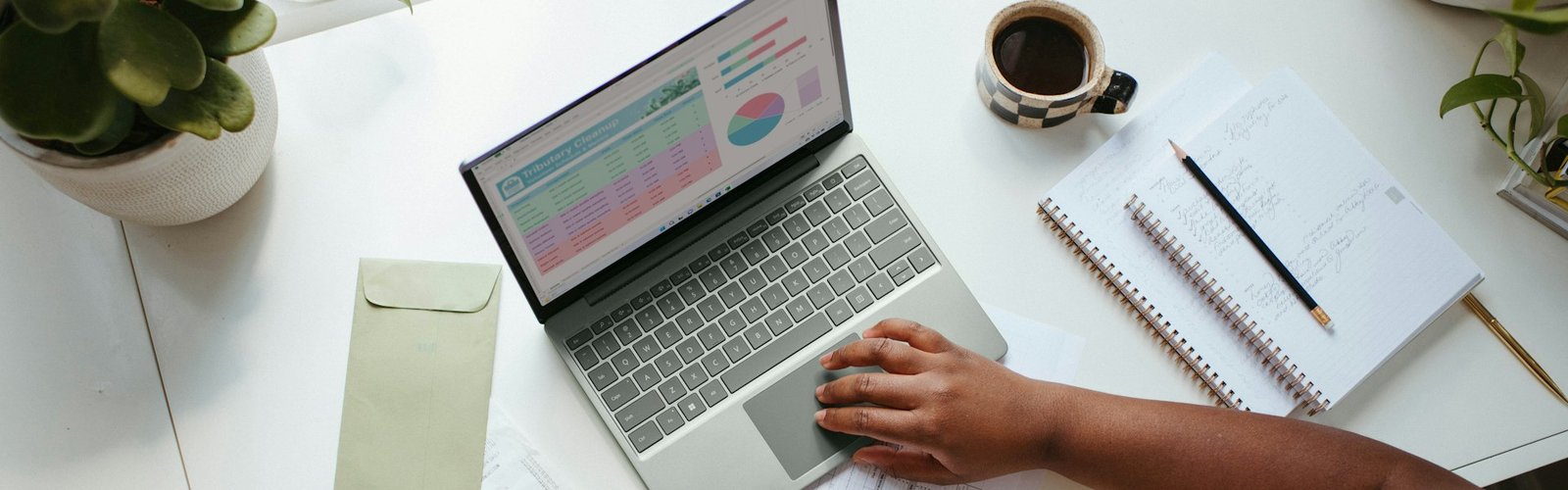 business opportunity sales calls - What Is This All About?